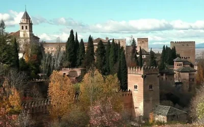 Ventajas de tener el teléfono taxi Granada siempre disponible