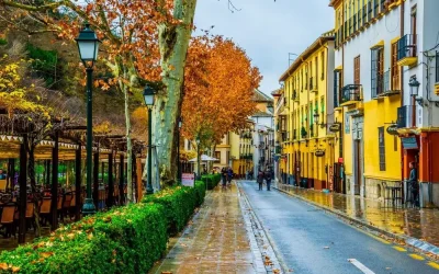 Razones para guardar el tlf taxi granada en tu lista de contactos