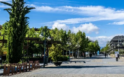 Consejos para turistas que buscan una opción de movilidad