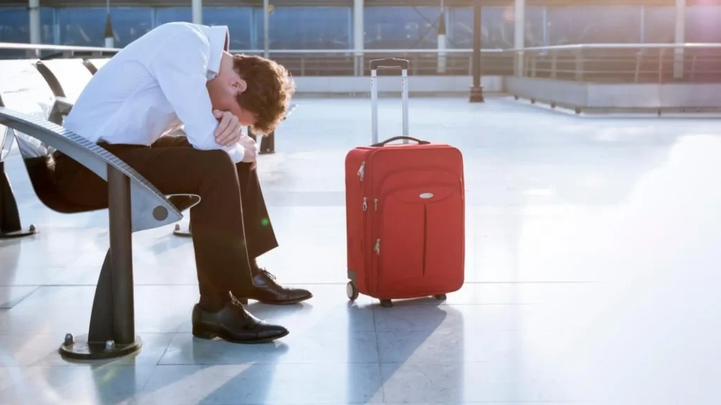 vuelo jpeg vuelo jpeg